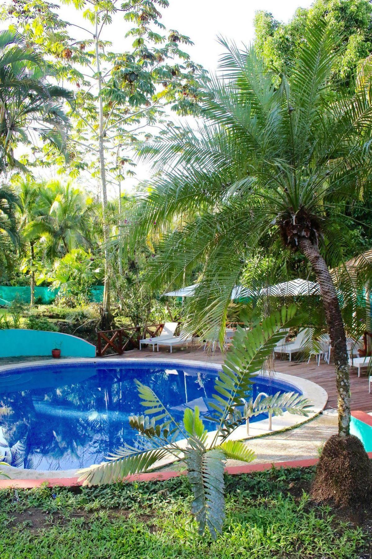 Magellan Boutique Hotel Cahuita Exterior foto