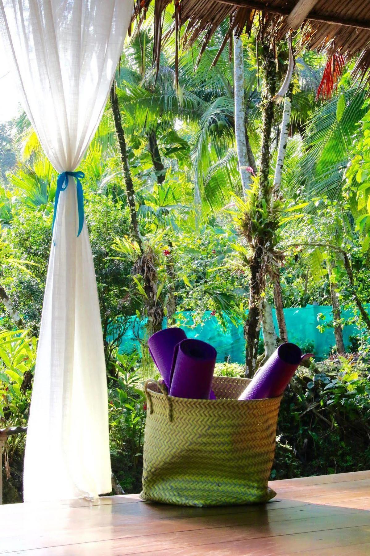 Magellan Boutique Hotel Cahuita Exterior foto